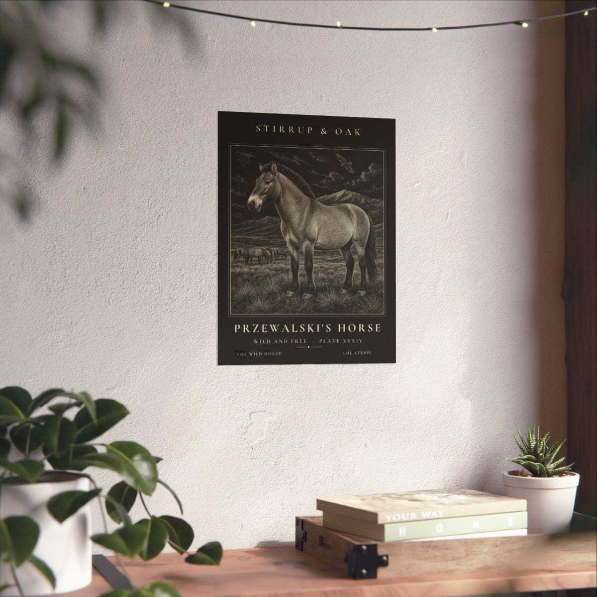 Przewalski's Horse - Archive Print