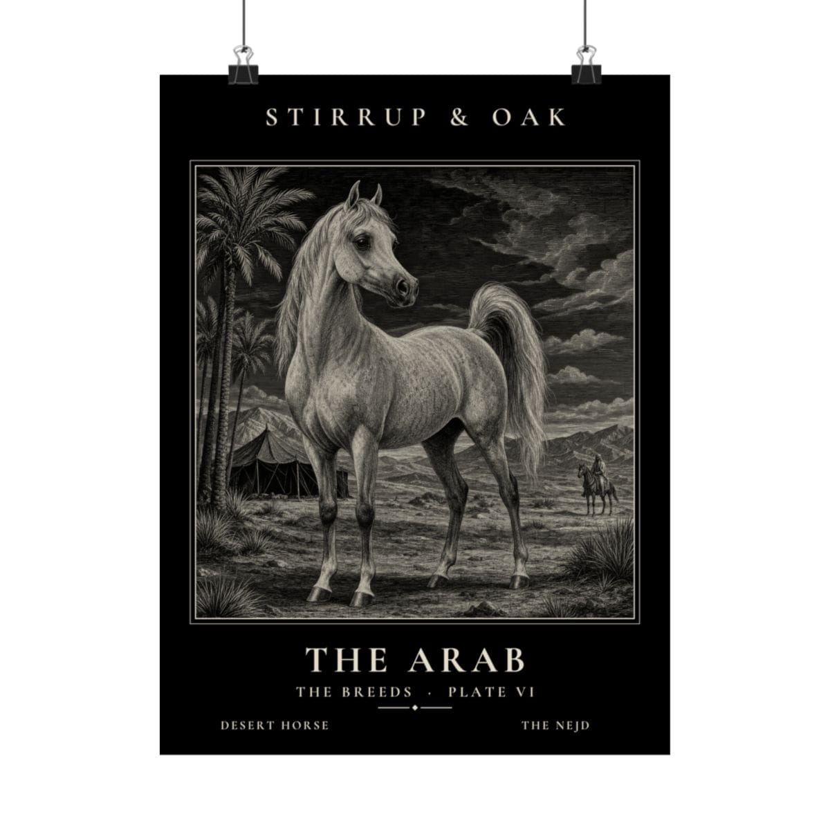 The Arab - Archive Print photograph 4