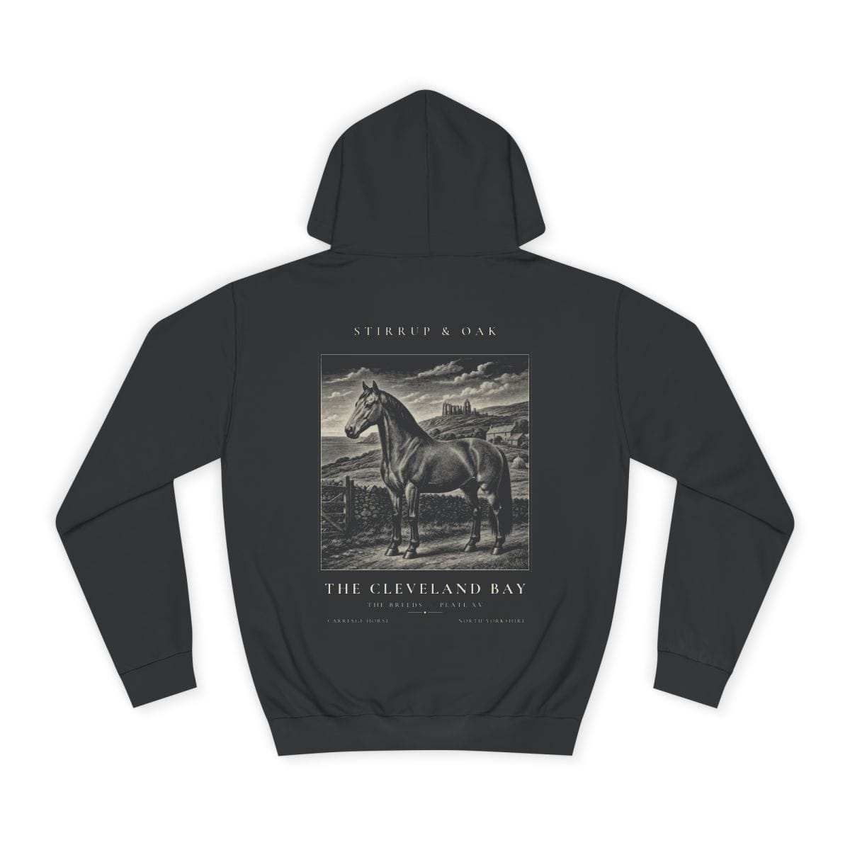 The Cleveland Bay - Heavyweight Hoodie · Jet Black / S