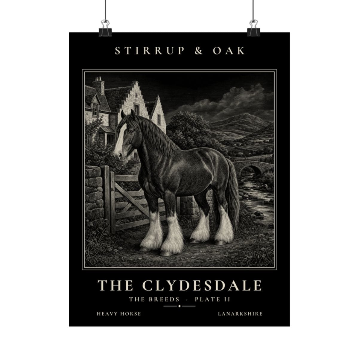 The Clydesdale - Archive Print photograph 4