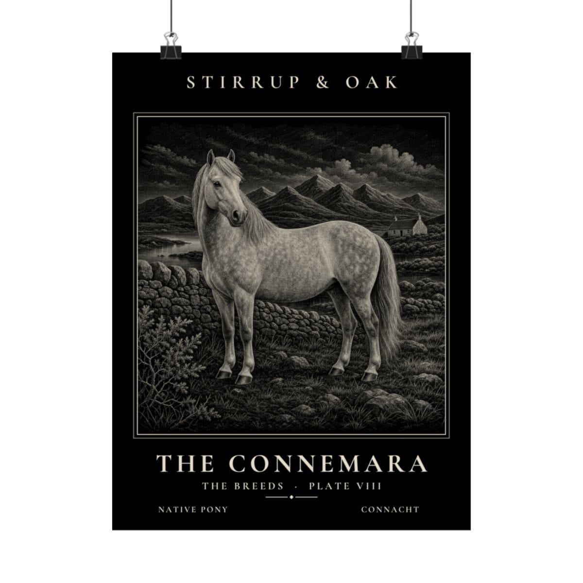 The Connemara - Archive Print photograph 4