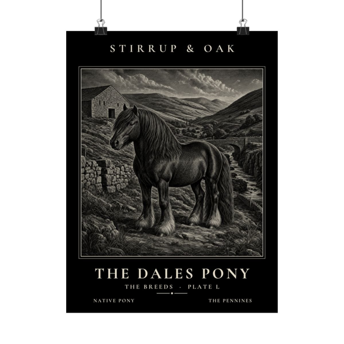 The Dales Pony - Archive Print photograph 4