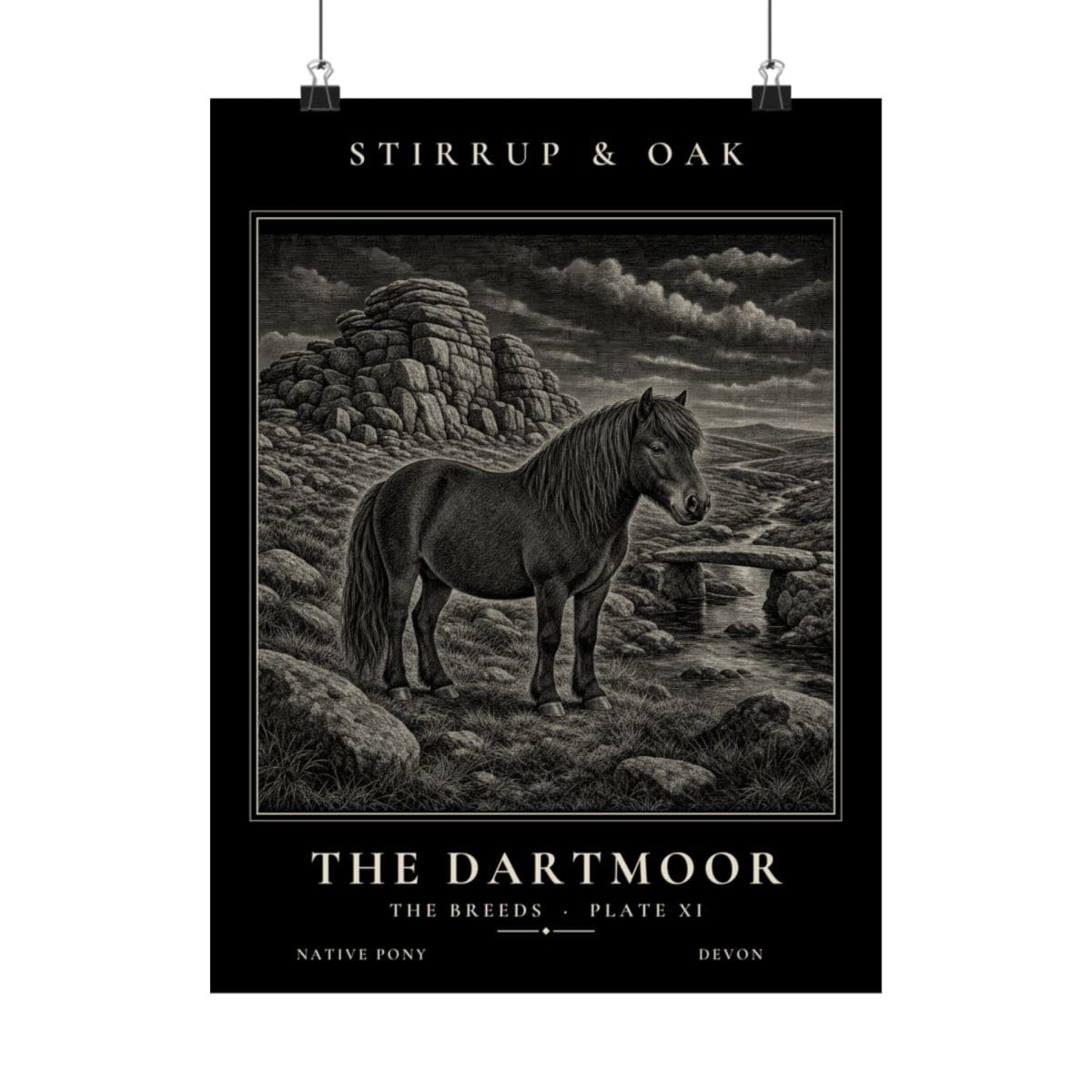 The Dartmoor - Archive Print photograph 4