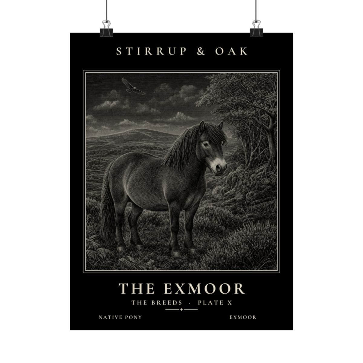 The Exmoor - Archive Print photograph 4
