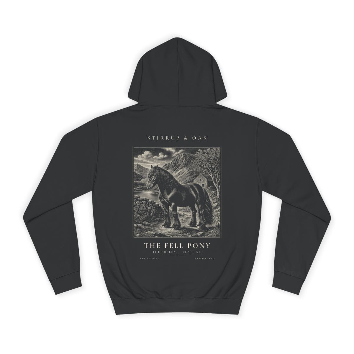 The Fell Pony - Heavyweight Hoodie · Jet Black / S