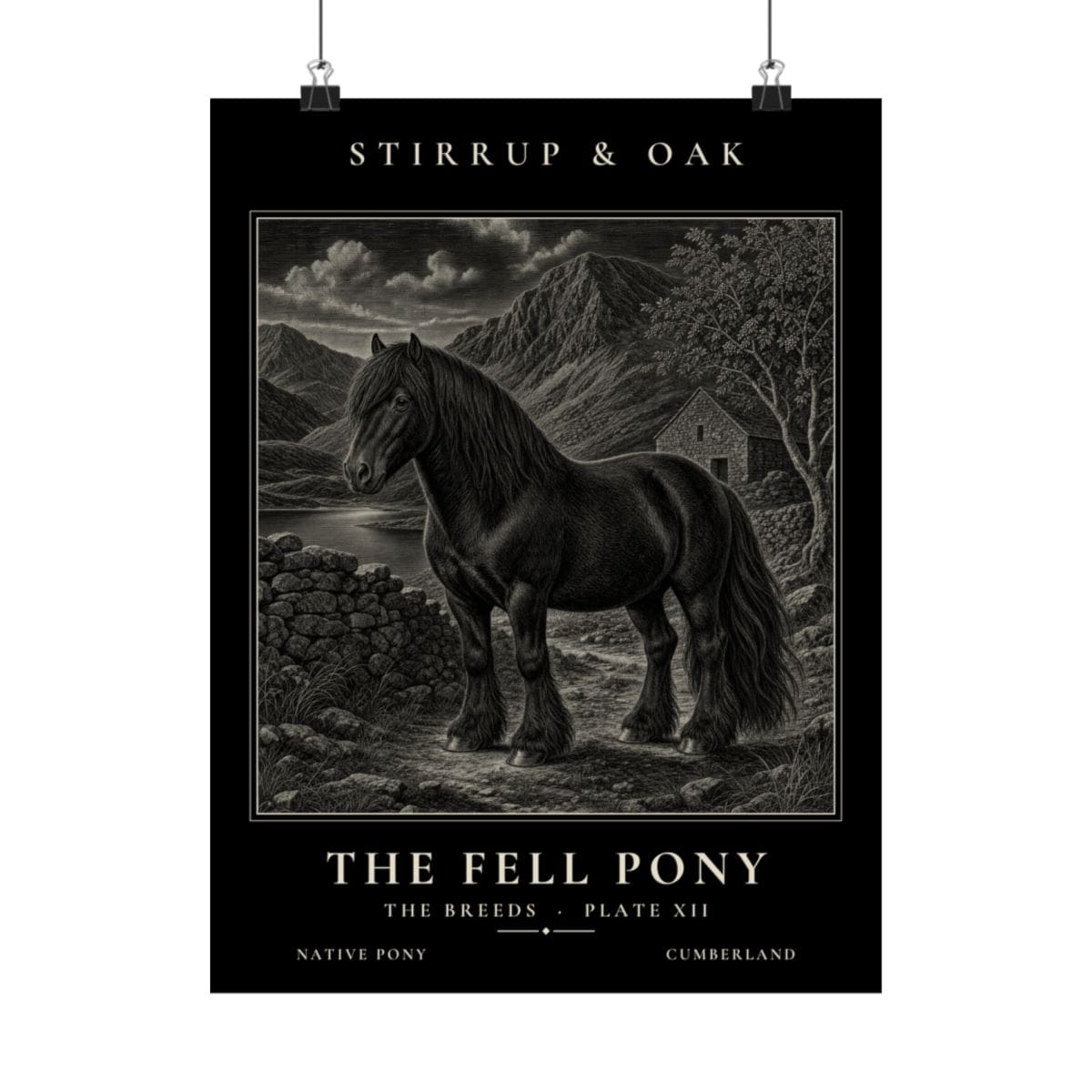 The Fell Pony - Archive Print photograph 4