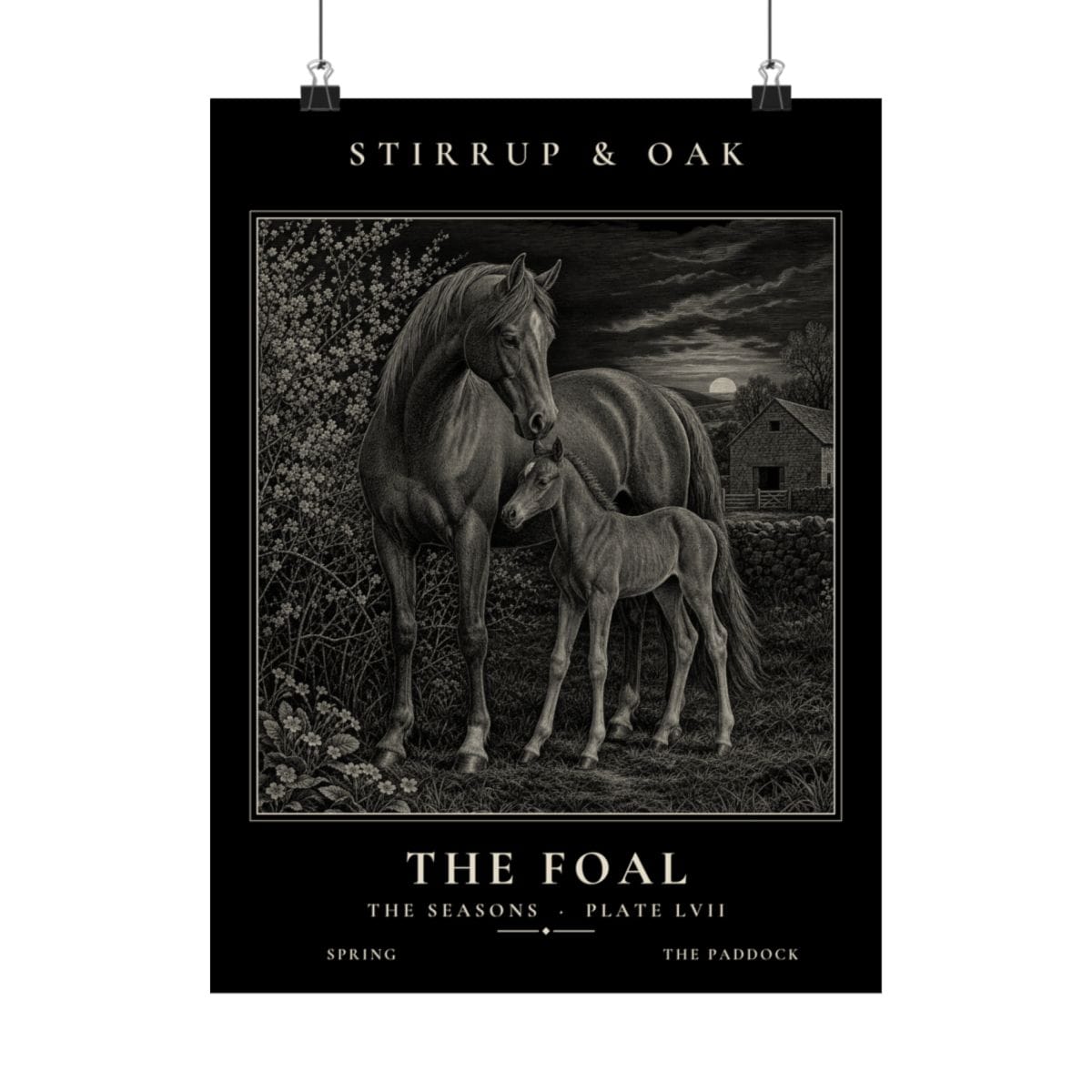 The Foal - Archive Print photograph 4