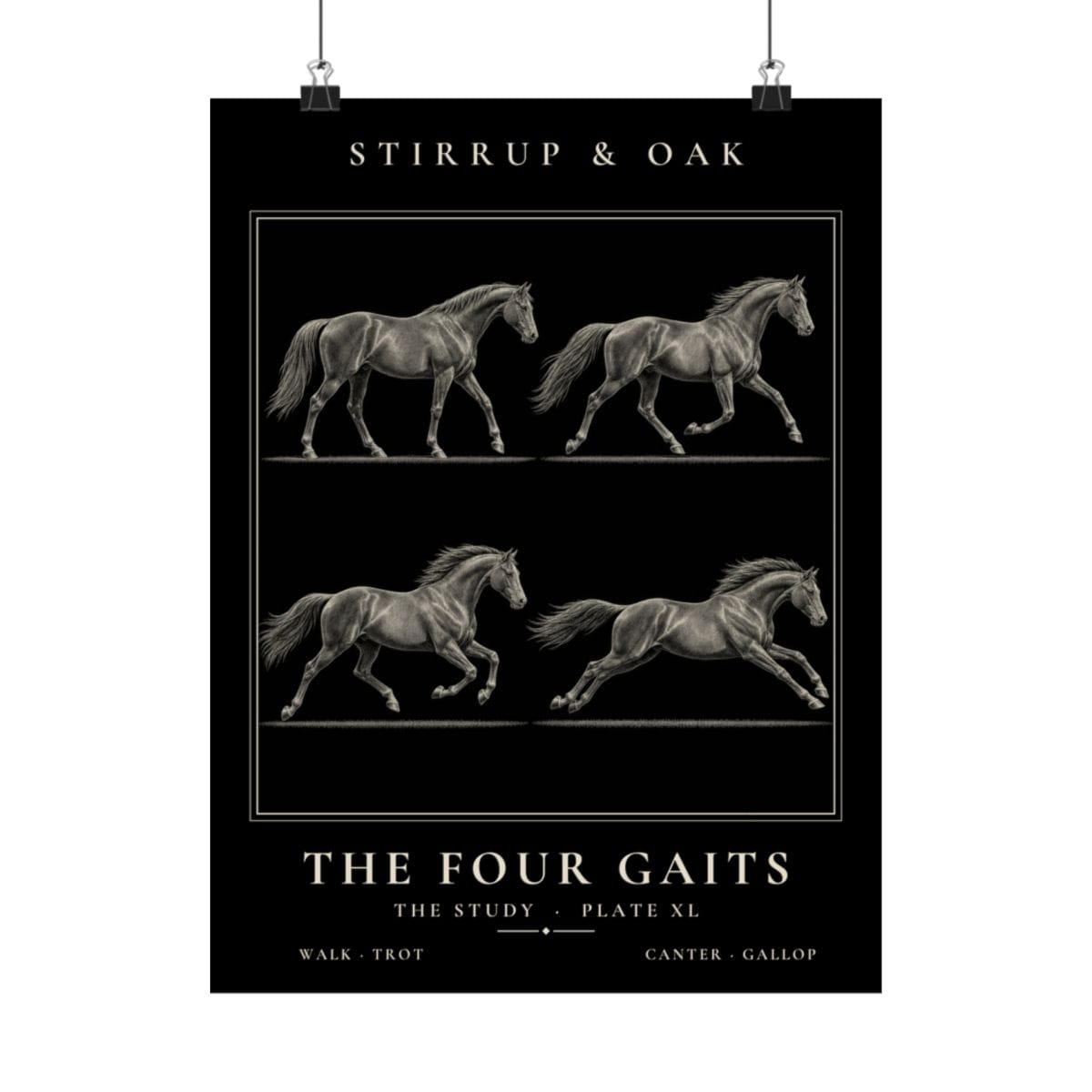 The Four Gaits - Archive Print photograph 4