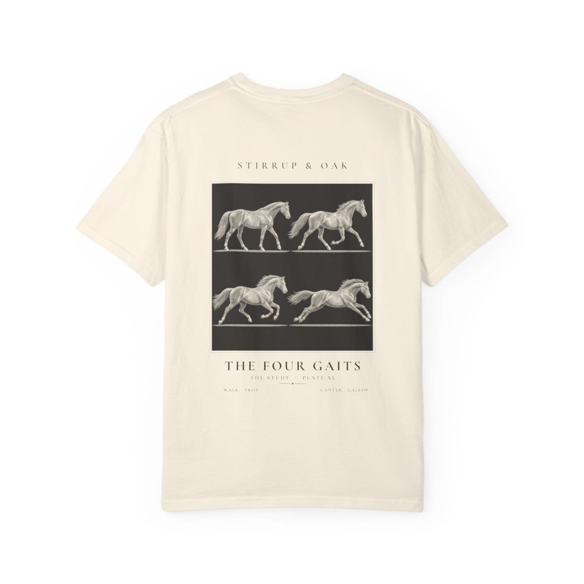 The Four Gaits - Heavyweight T-Shirt in Ivory