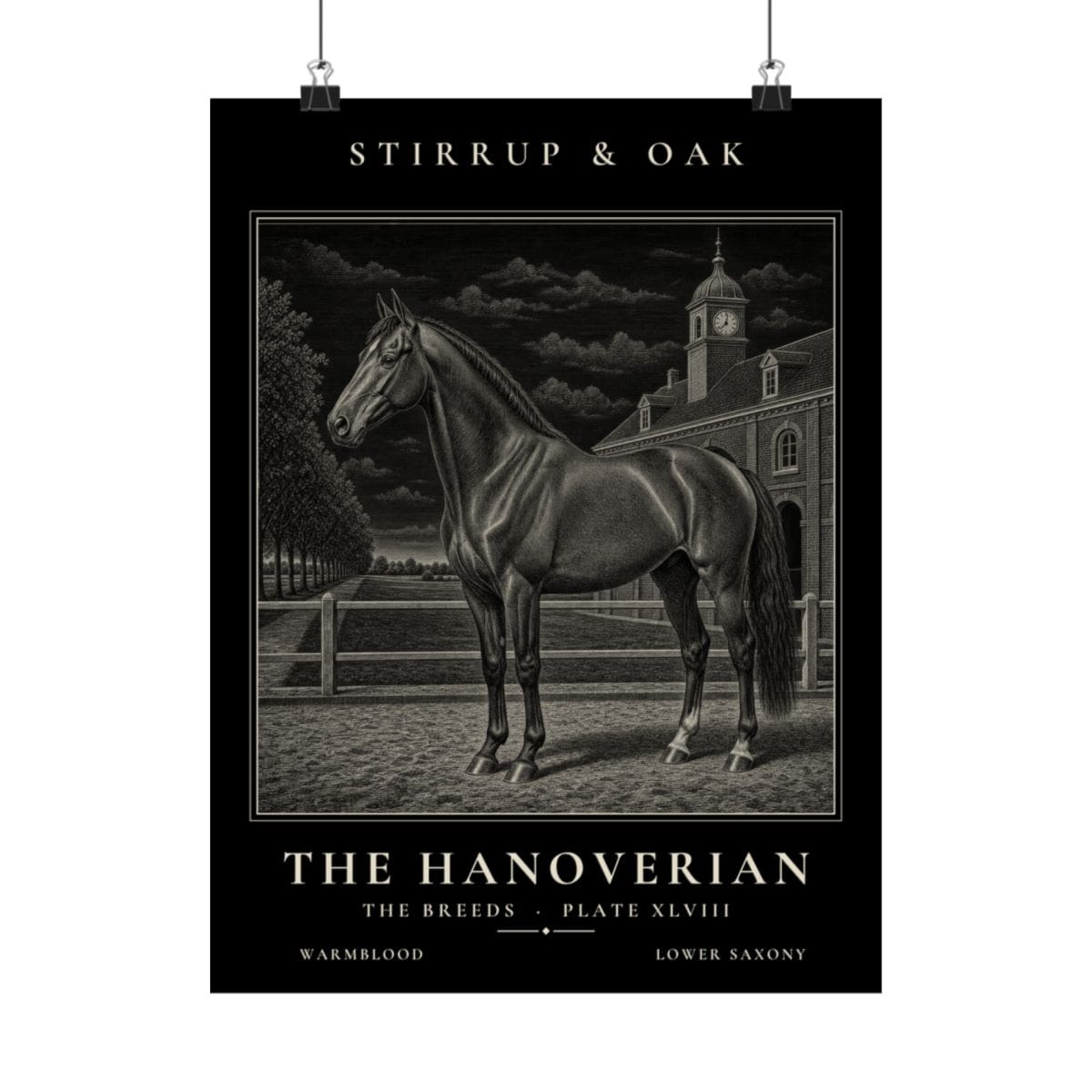 The Hanoverian - Archive Print photograph 4