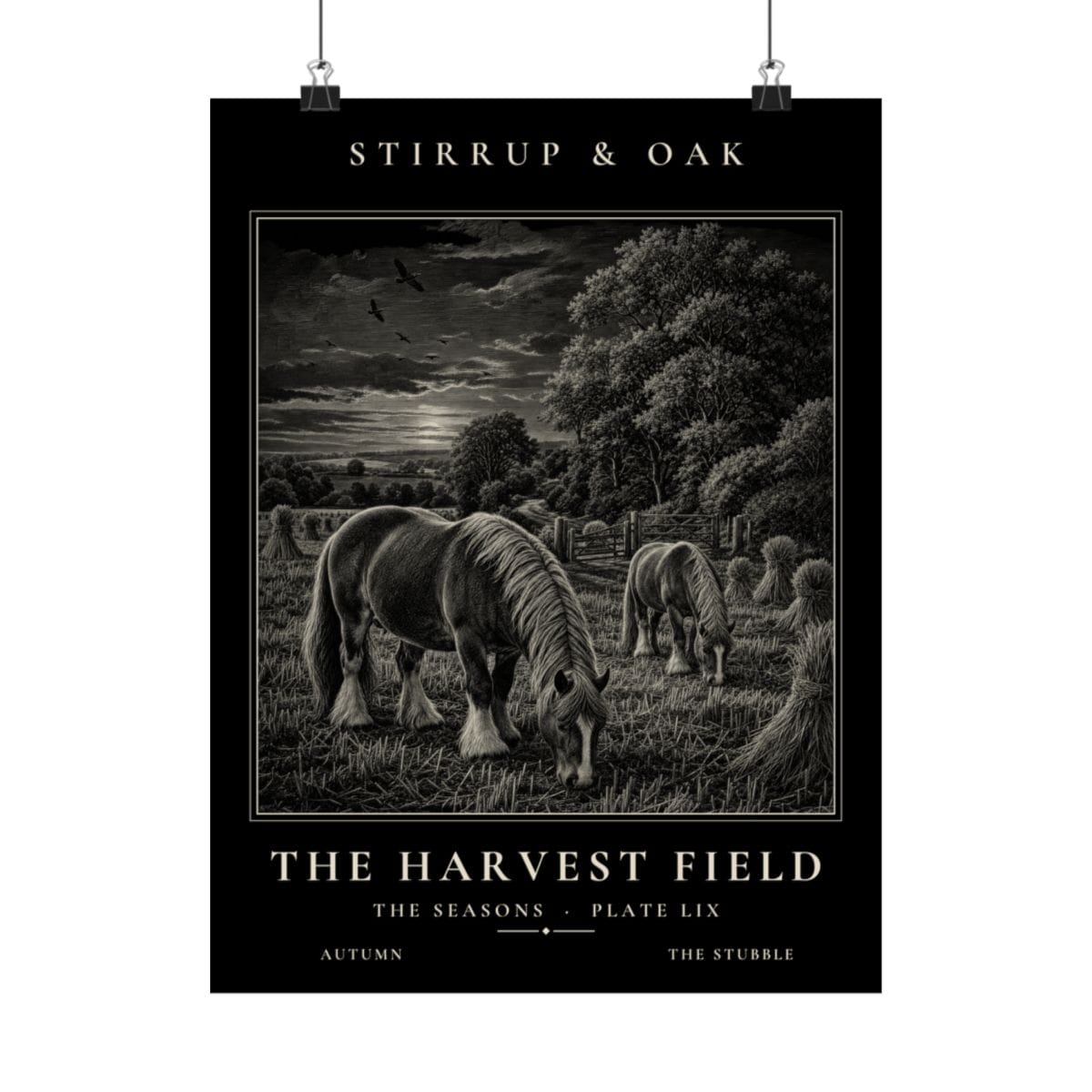 The Harvest Field - Archive Print photograph 4