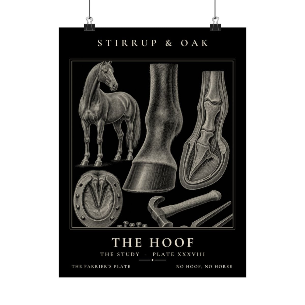 The Hoof - Archive Print photograph 4