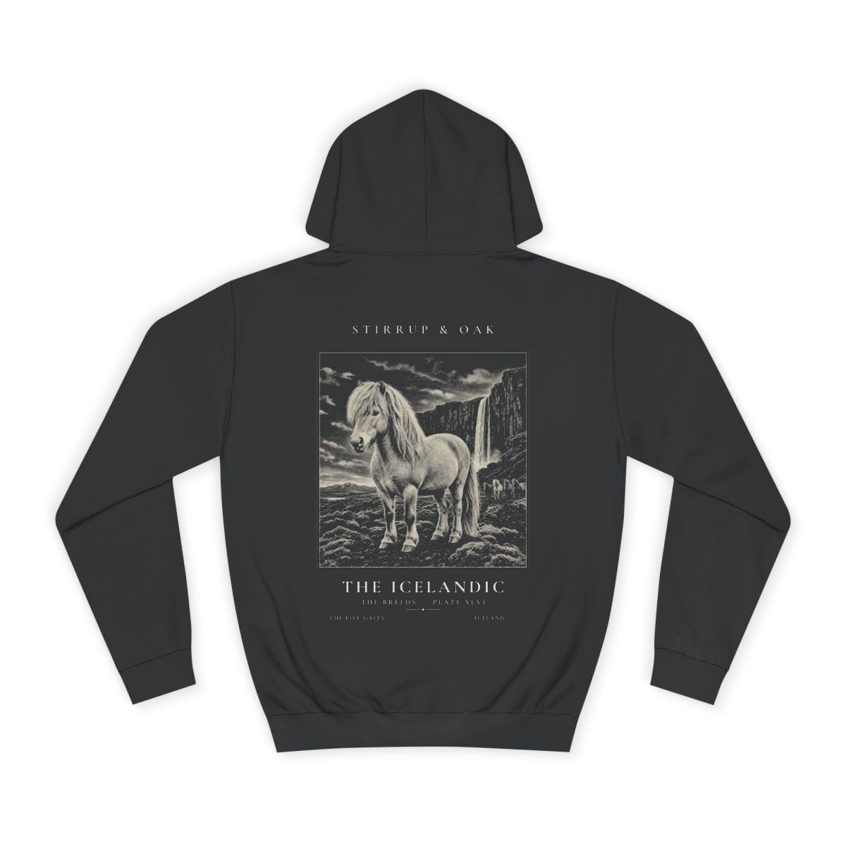 The Icelandic - Heavyweight Hoodie · Jet Black / S