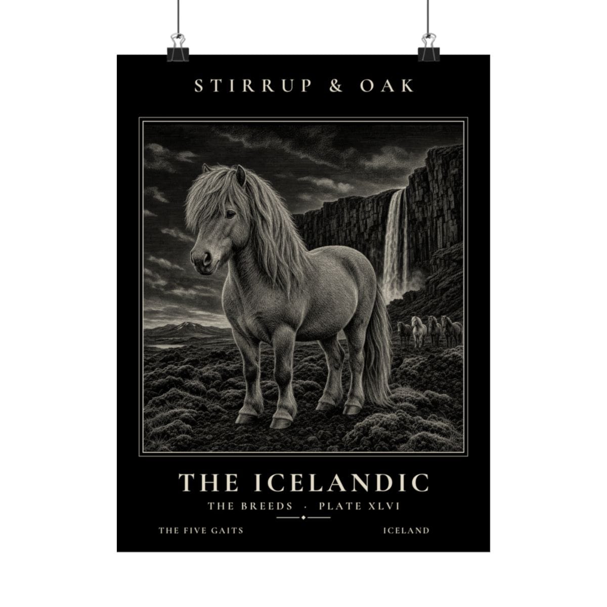 The Icelandic - Archive Print photograph 4
