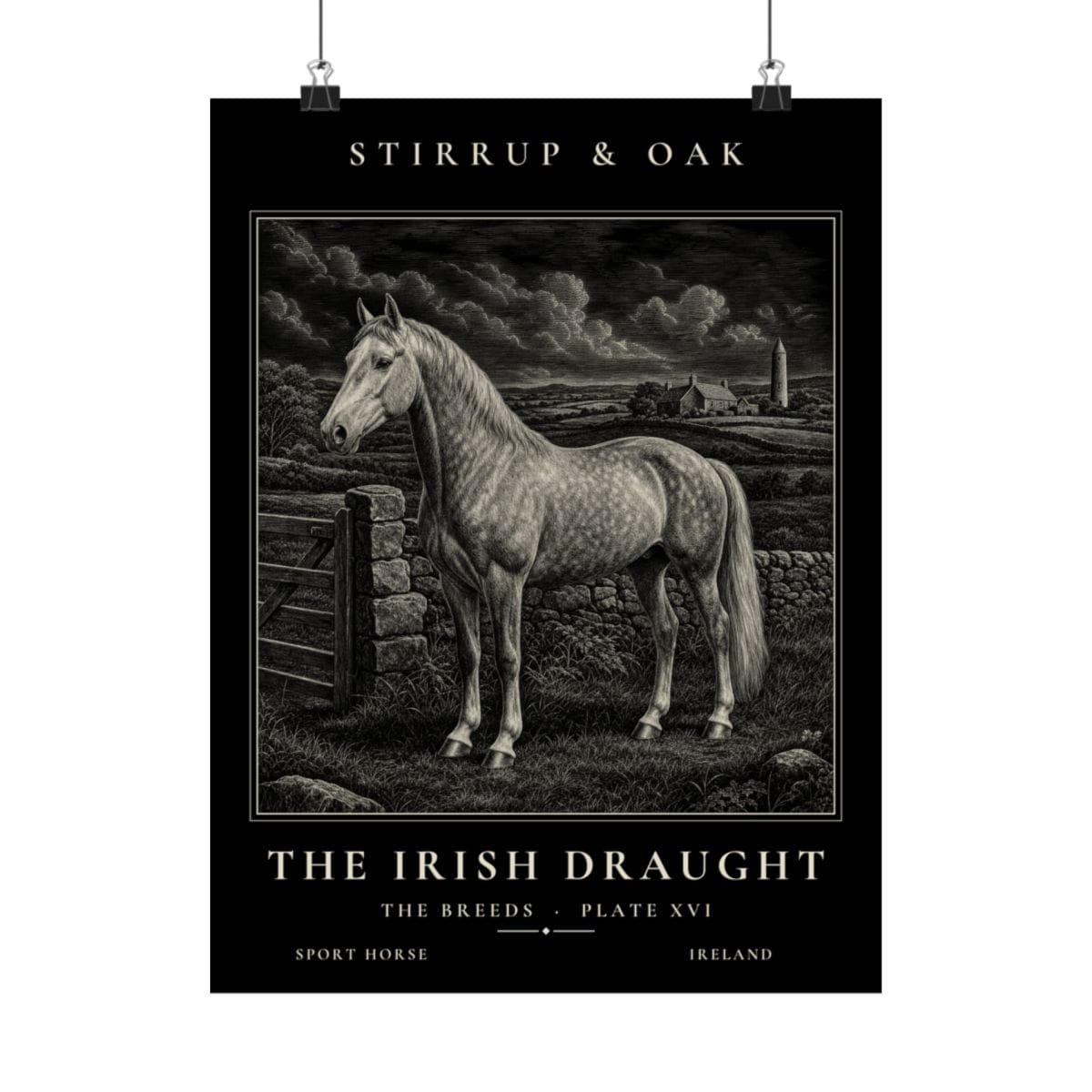 The Irish Draught - Archive Print photograph 4