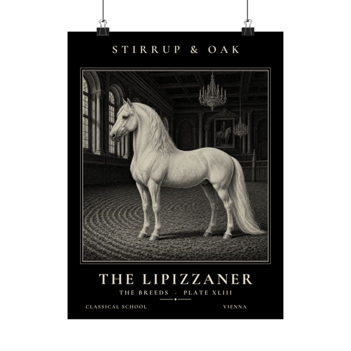 The Lipizzaner - Archive Print photograph 4