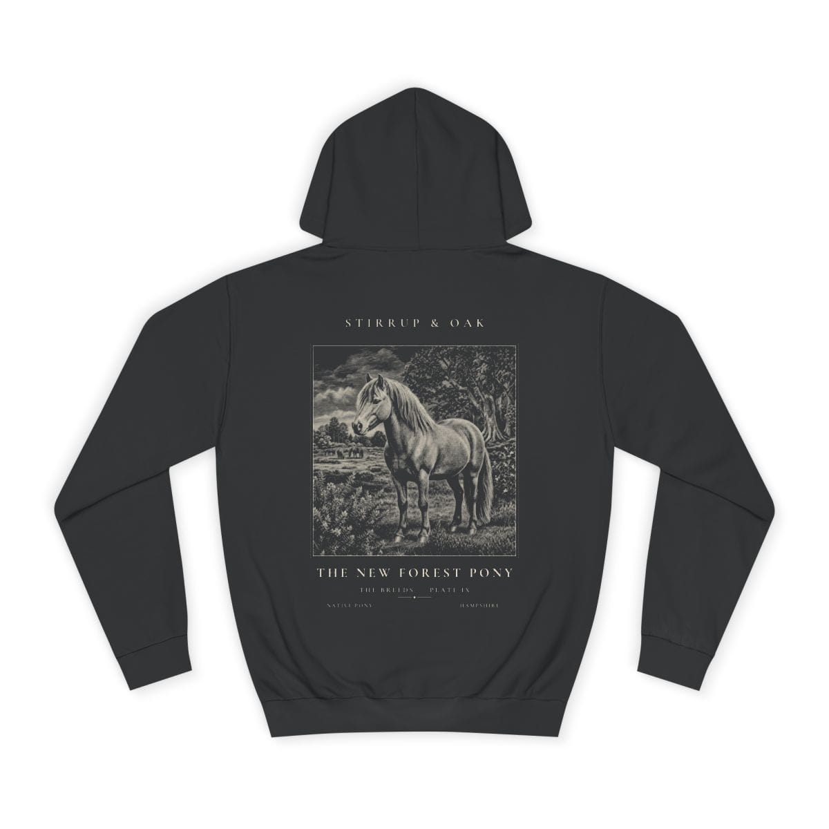 The New Forest Pony - Heavyweight Hoodie · Jet Black / S