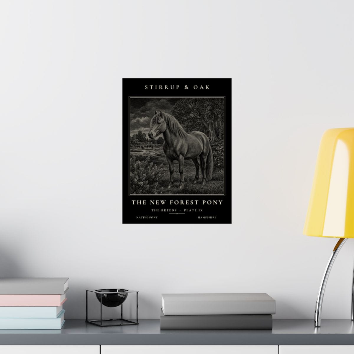 The New Forest Pony - Archive Print photograph 3