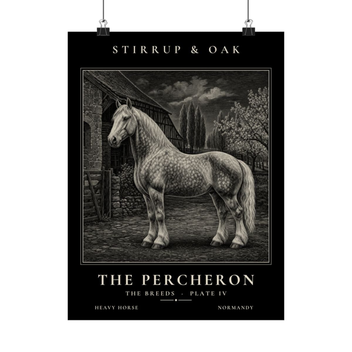 The Percheron - Archive Print photograph 4