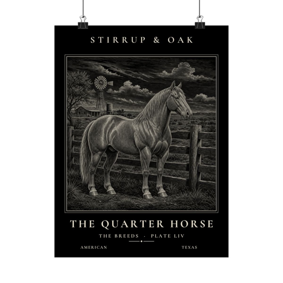 The Quarter Horse - Archive Print photograph 4