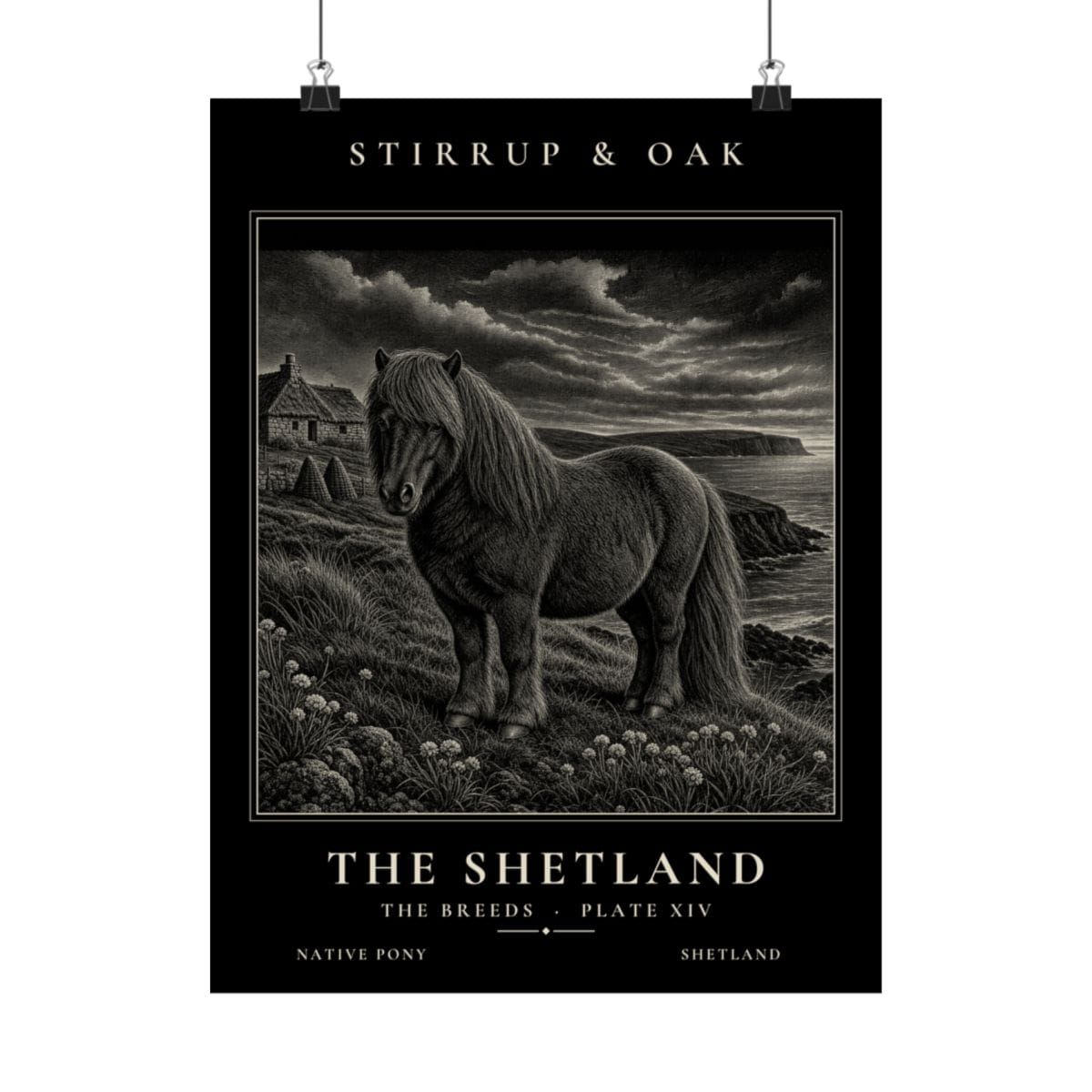 The Shetland - Archive Print photograph 4