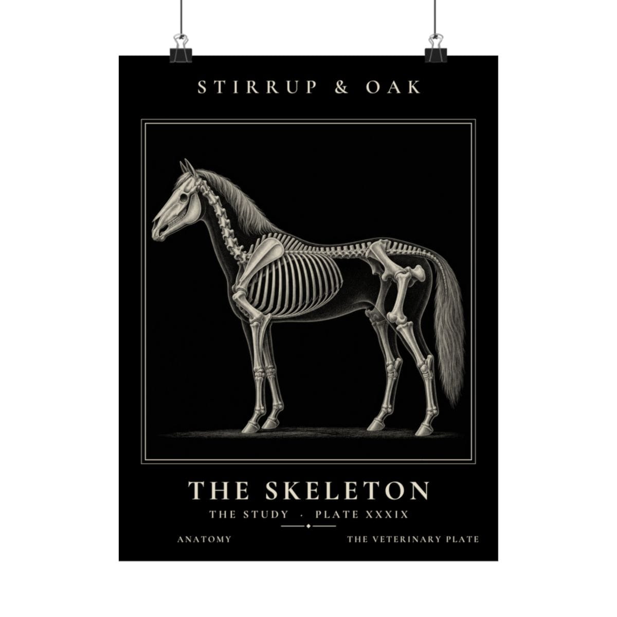 The Skeleton - Archive Print photograph 4
