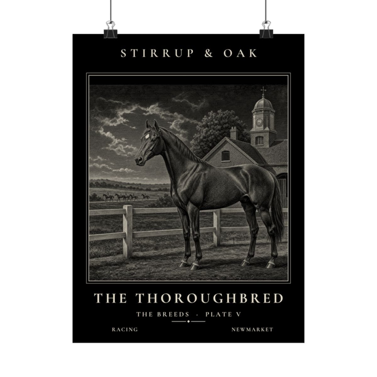 The Thoroughbred - Archive Print photograph 4