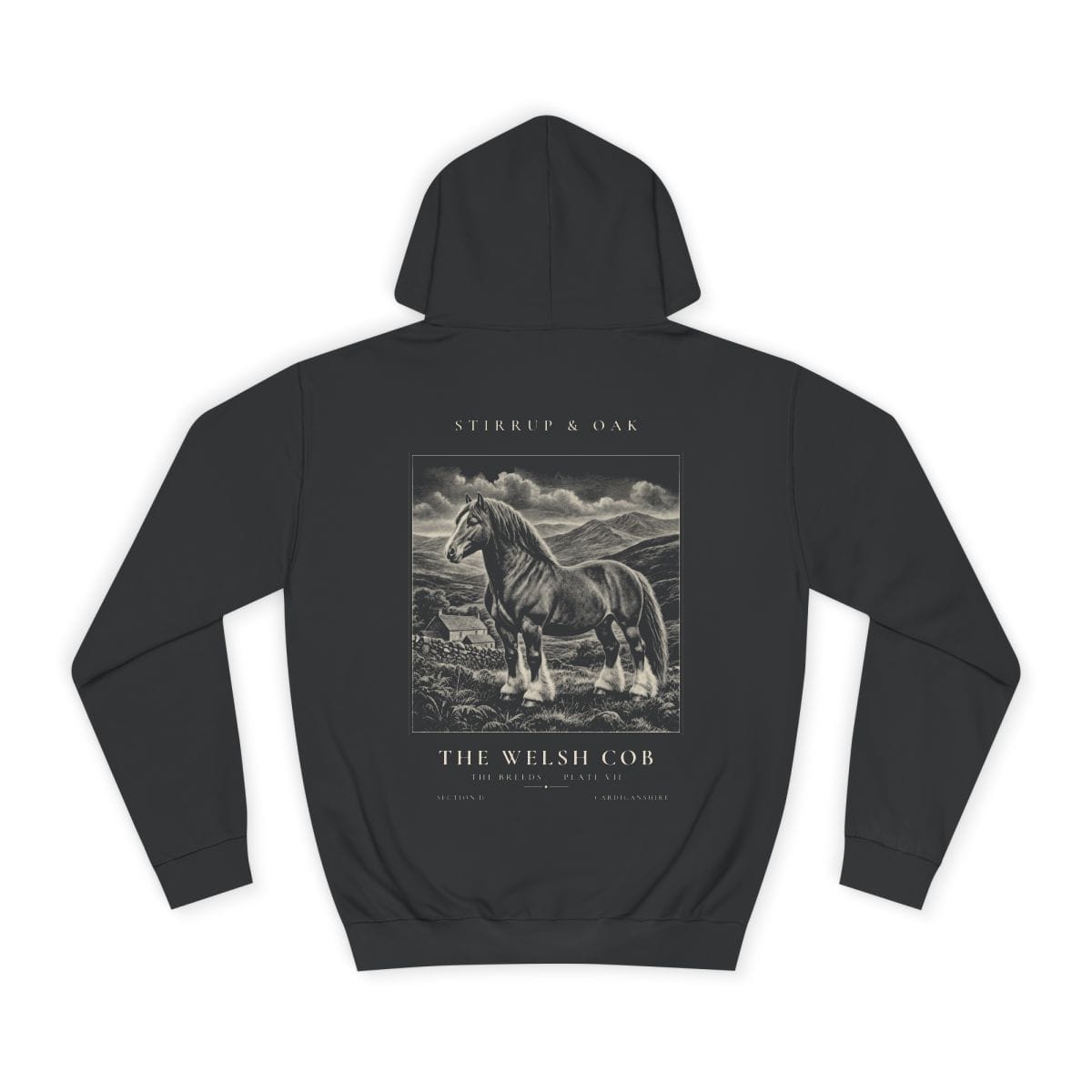 The Welsh Cob - Heavyweight Hoodie · Jet Black / S