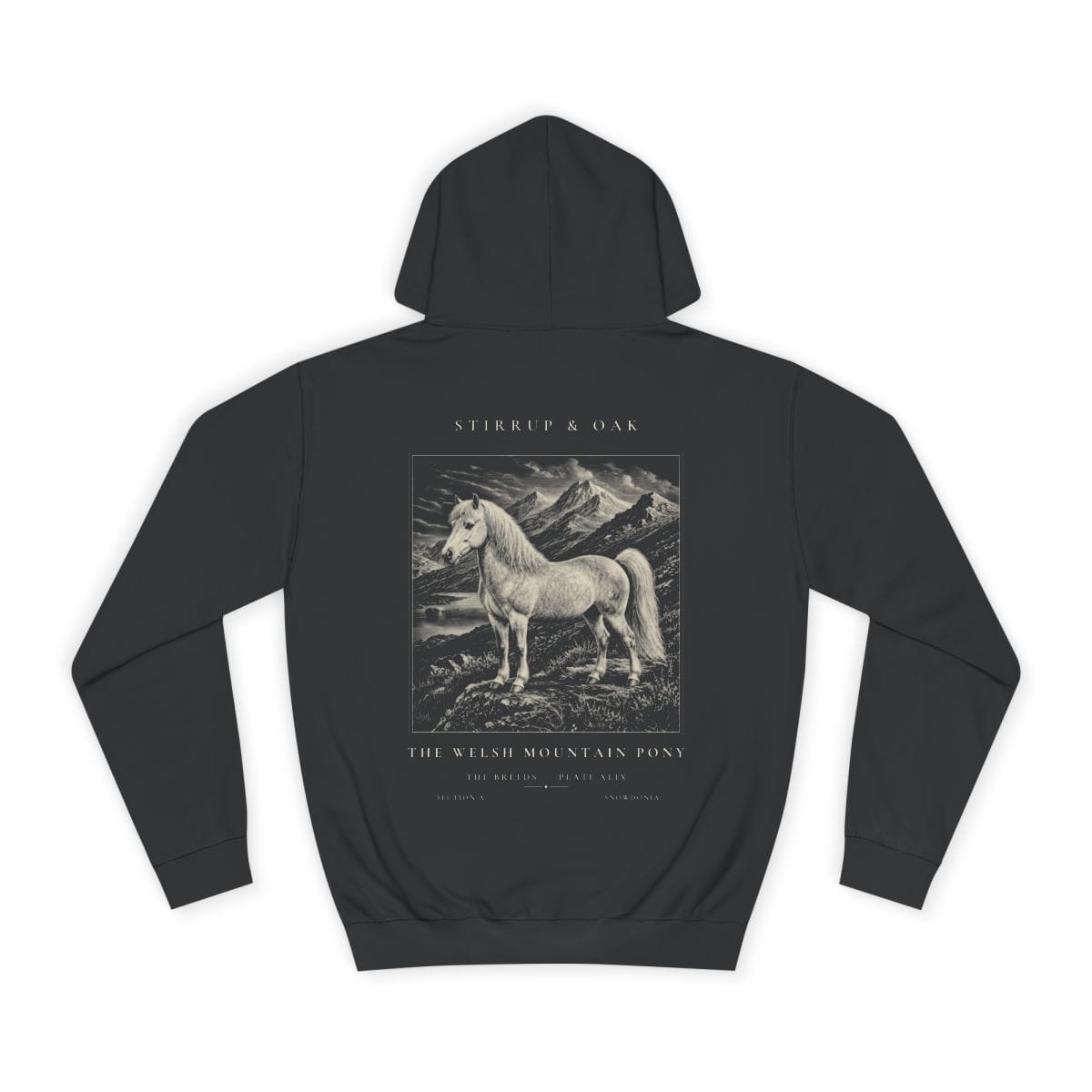 The Welsh Mountain Pony - Heavyweight Hoodie · Jet Black / S