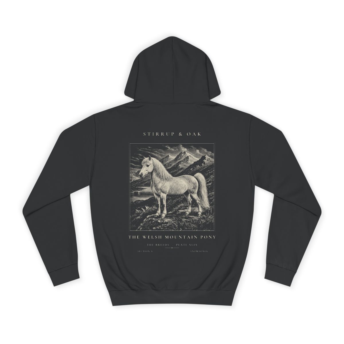 The Welsh Mountain Pony - Heavyweight Hoodie